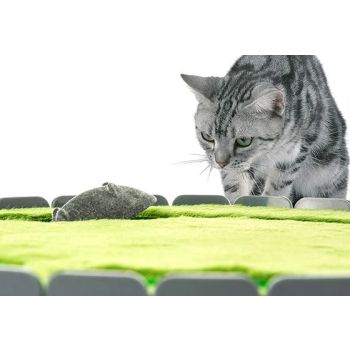  Peek-a-boo Mouse Interactive Cat Toys 