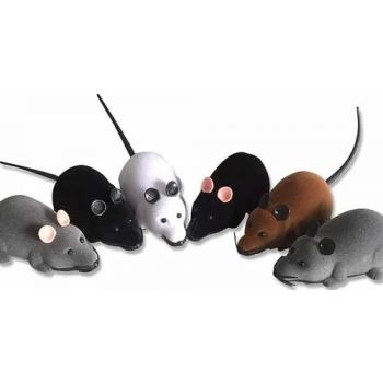  Petbroo Remote Mice Cat Toys 