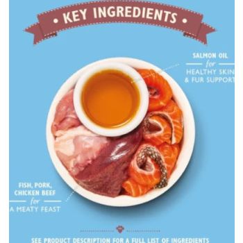  Lily's Kitchen Organic Fish Pate Wet Cat Food - 85G 