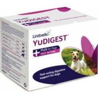 YUDIGEST PLUS 6 SACHETS