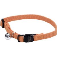 Coastal 3 and CatSoy Collar Pumpkin