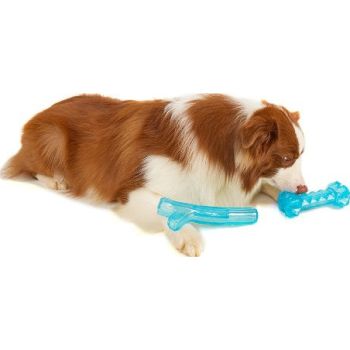  FOFOS Chill & Chew Cooling Bone Dog Toy 
