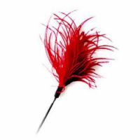 Interactive Cat Teaser Toys Red Small