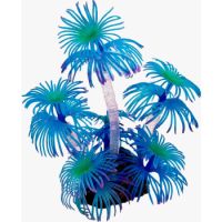 Saas Aquarium Silicon Coral