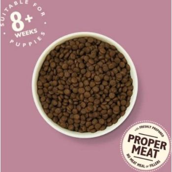  Lily's Kitchen Puppy Recipe with Chicken, Salmon & Peas Dry Food - 1KG 