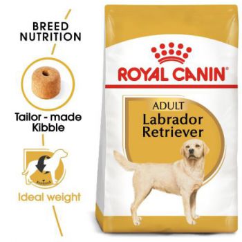 Royal Canin Dog Dry Food Labrador Adult 12 KG 