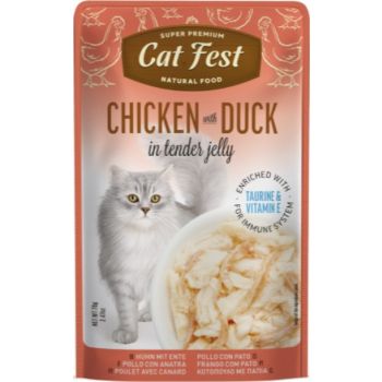  Cat Fest Chicken With Duck In Tender Jelly For Cats 70g 