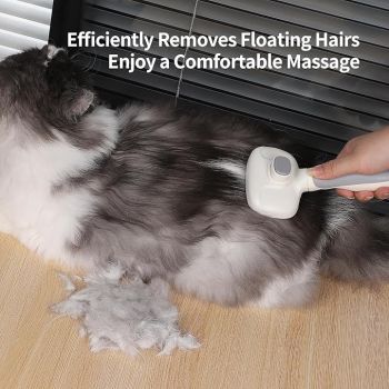  Pakeway T10 Self Slicker Pet Grooming Brush -18XX9.6X5.4 Cm 
