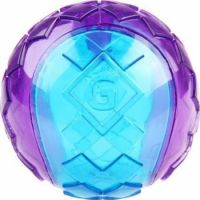 Gigwi Ball Purple / Blue Squeaker Transparent (Medium)
