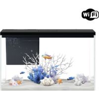 Boyu Pawgether GR-1s WIFI Desktop Aquarium 380x210x240mm (14L)
