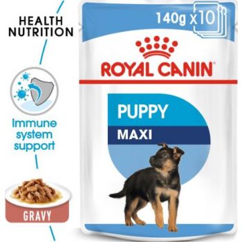  Royal Canin Dog WET FOOD - SHN Maxi Puppy 140g (pouches) 