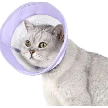 Saas Cat Elizabeth Collar M 28 X 32 CM