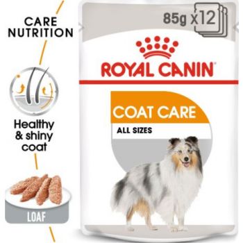  Royal Canin  Coat Beauty Wet Food Box of 12x85g 