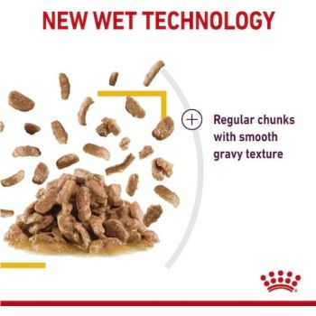  Royal Canin Sensory Taste Gravy (WET FOOD - POUCHES) 12 x 85g 