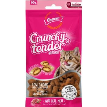  Gnawlers Crunchy & Tender Cat Treats 65g - Salmon & Milk Flavour 