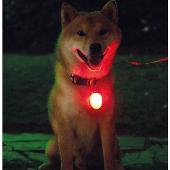  M-PETS Rechargeable LED JEWEL For Dogs – White 