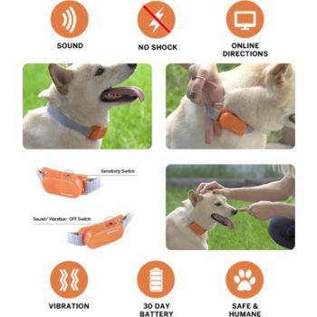  Reddipet Classic No Bark Training Collar for Dogs (Small) 