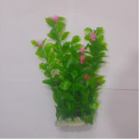 Sea Star Aquarium Plant PLT817M
