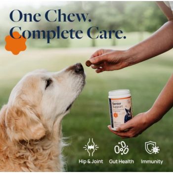  Synergy Labs Veterinary Formula Smart Vitality Senior Support Supplement For Dog – 180g [Count - 60] 