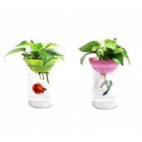 KW ZONE DOPHIN AQUAPHONIC AQUARIUM KIT 1.2L 150x210mm
