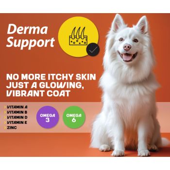  Myfood Derma Support Dry Food for Adult Dogs With Salmon 2.5kg 