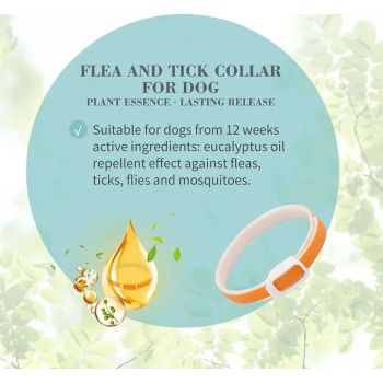  Bioline Flea and Tick Dog Collar 60cm[Flavor - Eucalyptus & Lemon] 
