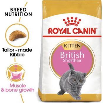  Royal Canin British Short hair Kitten Dry Food 2 KG 