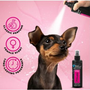  Groom Professional Princess Cologne[Volume - 200 ml] 