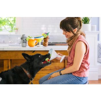  PLAY Barktender Pawtini 