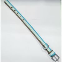 LILLIDALE DOG COLLAR LIGHT BLUE