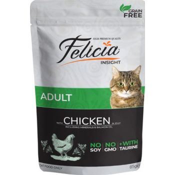  Felicia Wet Food Pouches For Adult Cats With Chicken In Jelly 85Gr 