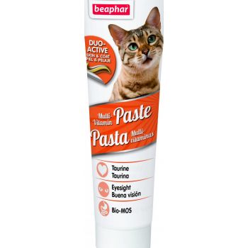  Multi Vitamin Paste - Cat / 100g 