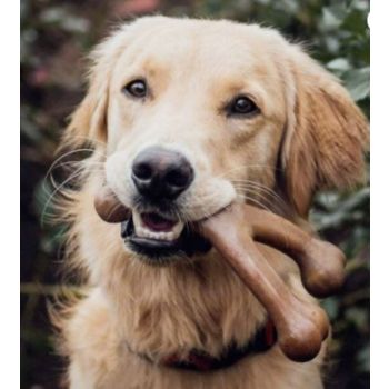 Benebone Wishbone Dog Chew Toy – Peanut Large 
