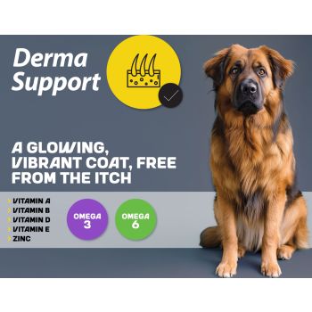  Myfood Superpremium dry food for adult dogs of medium and large breeds with Lamb and Rice 12 kg 