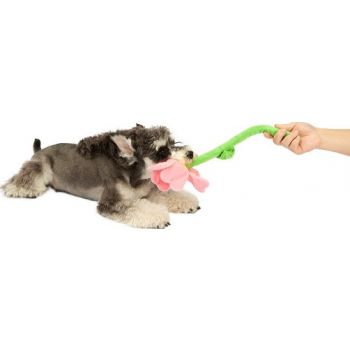  FOFOS Pink Flower Crinkle Rope Dog Toys 
