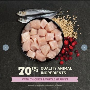  Acana First Feast Chicken with Herring Kitten Dry Food - 1.8KG 