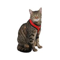 CAT HARNESS ACTIV RED 82644