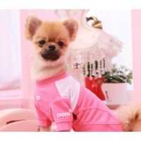 Puppia Ts1501 Medium