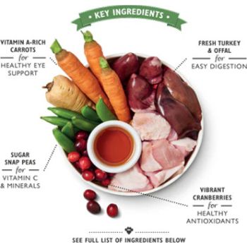  Lily's Kitchen Senior Recipe Dog Wet Food - 400G 