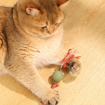  M-PETS Charmy Branch Red Catnip Cat Toy 