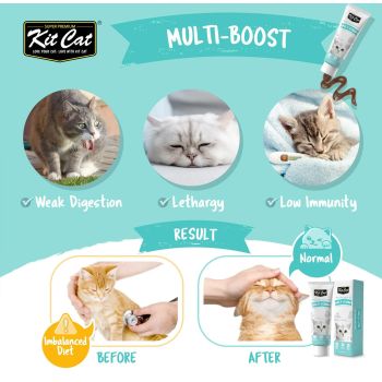  Kit Cat Daily Nutritional Supplement Gel For Cats & Kittens – Multi-Vitamin (120g) 