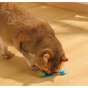  M-PETS Charmy Bugbear Blue Catnip Cat Toy 