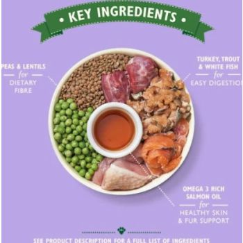  Lily's Kitchen Senior Recipe Turkey Adult 8+ Dry Dog Food - 2.5KG 