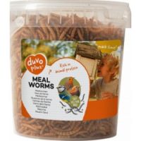 DUVO MEAL WORMS BUCKET 200gm