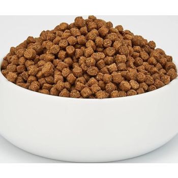  SCHESIR CAT DRY FOOD CHICKEN 10KG (C1910) 
