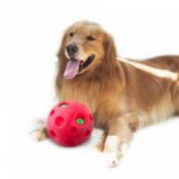 PAWISE SHAKE ME-GIGGLE BALL:14588