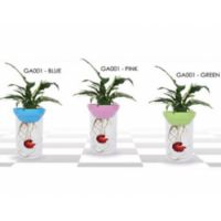 KW ZONE DOPHIN AQUAPONIC AQUARIUM KIT 1.2L  129.5x210mm