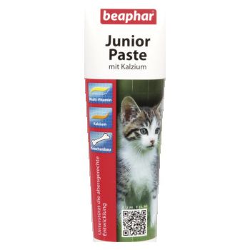  Junior Paste - Cat / 100 g 