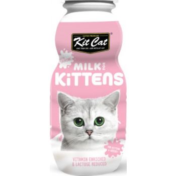  Kit Cat Milk For Kitten 250ml 