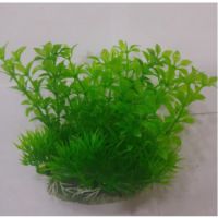 Sea Star Aquarium Plant PLT453M
